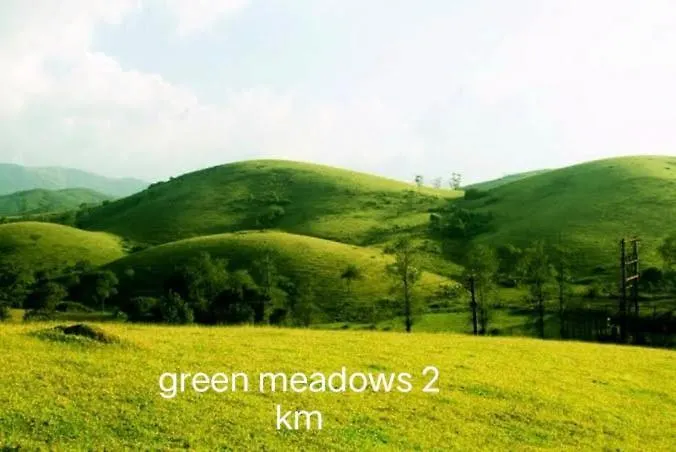 Adithya Resort Vagamon India